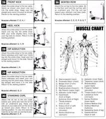 weider 8530 exercise online charts collection