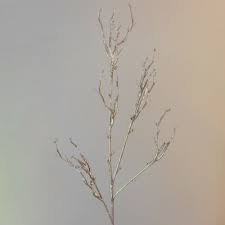 Stems and branches bring life to the room. Artificial Twig Branch Champagne Gold 63cm Christmas Decorations
