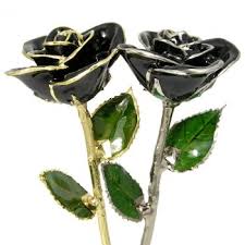 40th birthday flowers and gifts. Over The Hill 40th Birthday Gift Black Preserved Rose Love Is A Rose