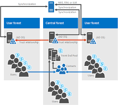 System Requirements For Skype For Business Server 2019 Skype For Business Server 2019 Microsoft Docs