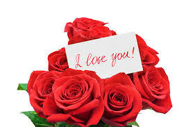 696 likes · 1 talking about this. 1 800 Flowers Ruins Valentine S Day