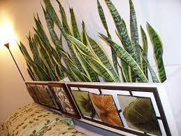 A Unique Headboard Sleep Among Plants Ikea Hackers Ikea Hackers Unique Headboards Ikea