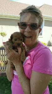 Anxious parents check in