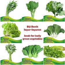 Bila i buka youtube to find ideas about green juice, kebanyakannya akan recommend to use kale or spinach (and sometimes. Sayur Prices And Promotions May 2021 Shopee Malaysia