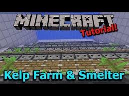 Came here looking to see if anyone elses was broken. Minecraft 1 13 Automatic Kelp Farm And Efficient Dried Kelp Block Smelter Tutorial Minecraft Tutorial Minecraft Automatic Farm Minecraft Farm