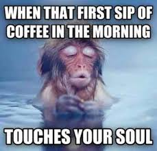 Most Laughing Good Morning Memes Funny Good Morning Memes