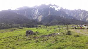 Rm47,526.20 myvi 1.3 special edition automatic. Perkhidmatan Sewa Kereta Charter Sabah Facebook