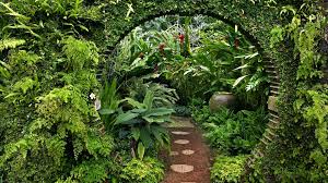 New Garden Plants Garden Archway Beautiful Gardens Shade Garden Design