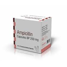Image result for Ampicillin