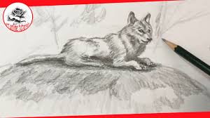 We did not find results for: How To Draw A Realistic Wolf Step By Step For Beginners Easy Youtube
