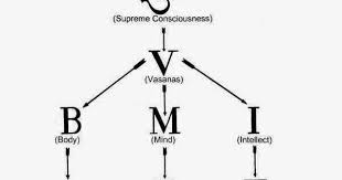 Aatmaavrajanam Bmi Who Am I