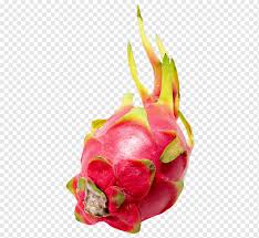 Jan 18, 2018 · pakar kesehatan menyebutkan bahwa setelah makan buah naga, warna urine dan kotoran saat buang air besar memang akan cenderung menjadi kemerahan atau merah muda. Pitahaya Berdaging Putih Pitaya Portable Network Graphics Jus Buah Jus Makanan Alami Makanan Naga Png Pngwing