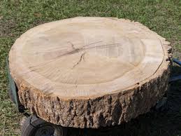 Tree stump side table, timber end table, tree log table base, reclaimed wood live edge, reclaimed side table, 3 sizes, paint, stain, finish tricia16designs 5 out of 5 stars (834) $ 190.00 favorite. How To Build A Stump Coffee Table How Tos Diy