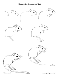 Maybe you would like to learn more about one of these? How To Draw A Desert Rat Novocom Top