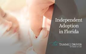 Intercountry adoptions are governed by three sets of laws: Understanding Independent Adoption In Fl Tammi J Driver Adoption Attorney
