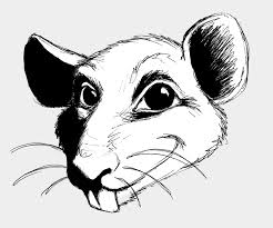 Opinion a pair of surprises from. Drawn Rat Transparent Rat Head Drawing Cliparts Cartoons Jing Fm