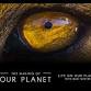 Netflix's The Making of Our Planet: Life on our Planet event image
