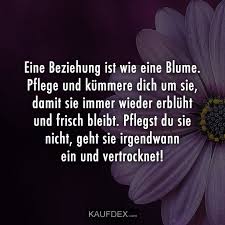 Eine Beziehung Ist Wie Eine Blume Pflege Und Kummere Dich Kaufdex In 2020 Beziehungen Beziehung Ich Liebe Dich Zitate