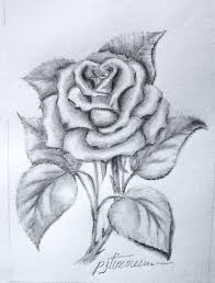 We did not find results for: Pencil Drawing The Rose Drawings Roses Drawing Flower Sketches