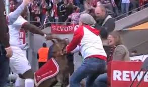 Д.20мм, тяжёлая без протяжки, 100м, цвет серый. Fc Koln Striker Celebrates By Aggressively Pulling A Goat S Horns Daily Mail Online