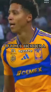 Edson Herrera Jugador