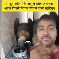 Dr. Surendra KC Fan Club