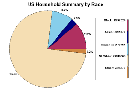 America Race Demographics Pie Chart Bedowntowndaytona Com