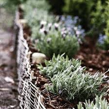 tuinmaak on instagram borderrand wilg zorgt voor een mooie afscheiding van de border of het gazon tuinmaak tuinmaak nl tuin mygard plants garden
