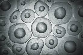 University of california, san francisco Scanning The Horizon For Accessibility To Atmps Biotech Atelier