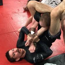 Ben Eddy Dead Orchard Details : r/bjj