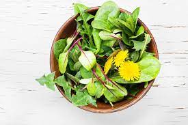 25 Reasons To Go Pick Dandelions Right Now Dandelion Recipes Dandelion Salad Dandelion