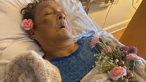 Fundraiser by Geraldine Vodicka : GERALDINE VODICKA BOULDER NATIVE