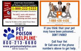 Hundreds of thousands of pets ingest think your pet has been exposed to a known toxin? Pets N More Poison Hotlines