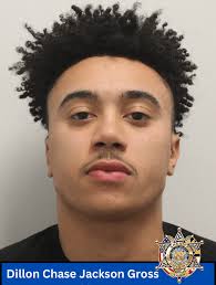 St. Mary's County Sheriff's Office Arrests, DUIs, And Summonses