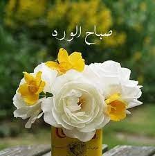 صباح النور والسرور والورد المنثور على الحاضرين في قلوبنا على مدى الدّهور، نهديكم أجمل عبارات الصباح التي تتعطر بجمال الصبح وسحر صباح النور والسُّرور والورد المنثور على من أنار أفئدتنا جمالًا وزاد بريق حياتنا لمعانًا. ØµØ¨Ø§Ø­ Ø§Ù„Ù†ÙˆØ± ÙˆØ§Ù„Ø³Ø±ÙˆØ± ÙˆØ§Ù„ÙˆØ±Ø¯ ÙˆØ§Ù„ÙŠØ§Ø³Ù…ÙŠÙ† Ù…ÙˆØ³ÙˆØ¹Ø© Ø¥Ù‚Ø±Ø£ ØµØ¨Ø§Ø­ Ø§Ù„Ù†ÙˆØ± ÙˆØ§Ù„Ø³Ø±ÙˆØ± ÙˆØ§Ù„ÙˆØ±Ø¯ ÙˆØ§Ù„ÙŠØ§Ø³Ù…ÙŠÙ†