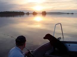 There should be plenty of brush and debris under the water for crappie to hide. Night Fishing For Zander Lake Asnen Getno Gard