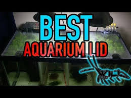 Best Fish Tank Lid For Aquarium Diy Cheap Easy To Make Custom Aquarium Lids Youtube Custom Aquarium Cool Fish Tanks Fish Tank