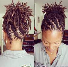 Pin By Bigthorn On Everything Locs Short Locs Hairstyles Hair Styles Dreadlock Hairstyles