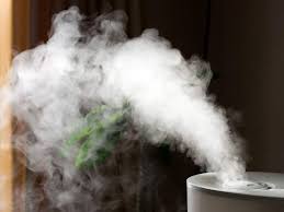 Olive oil is considered as an excellent moisturizing agent and can help replenish the lost moisture from your hair. 13 Home Remedies For Dry And Damaged Hair Reader S Digest Canada