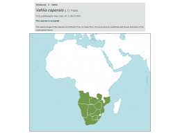 Image result for Vahlia capensis