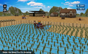 How to farm every stat afk in anime fighting simulator super easy! New Weed Farming Simulator 3d Pour Android Telechargez L Apk