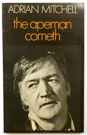 Author: Mitchell H. Q.