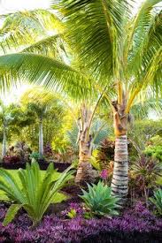 Tropical Design Ideas Pictures Remodel And Decor Tropical Landscape Design Tropical Garden Design Palm Trees Landscaping