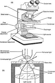 Types Of Microscopes