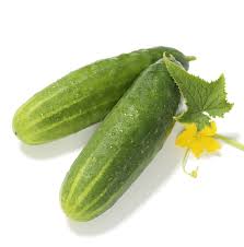 Image result for Cucumis
