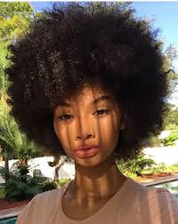 Natural hair dyes henna and indigo icons. Pinterest Baddiebecky21 Bex Natural Hair Styles Hair Styles Curly Hair Styles