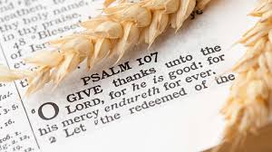 It began as a day of giving thanks and sacrifice for the blessing of the. Thanksgiving 2015 Bible Verses For Your Cards Ten Best Scriptures Of Gratitude And Praise
