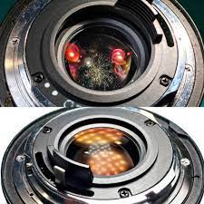 How To Remove Fungus From Lens: Cheap Way