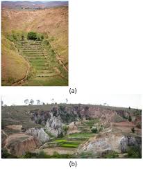 Image result for Kotschya strigosa