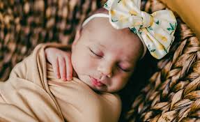 Shannon's Sweets (@ShannonTreats)